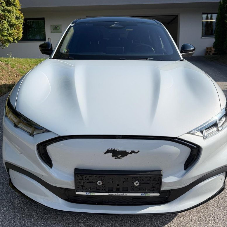 elektroauto verkaufen